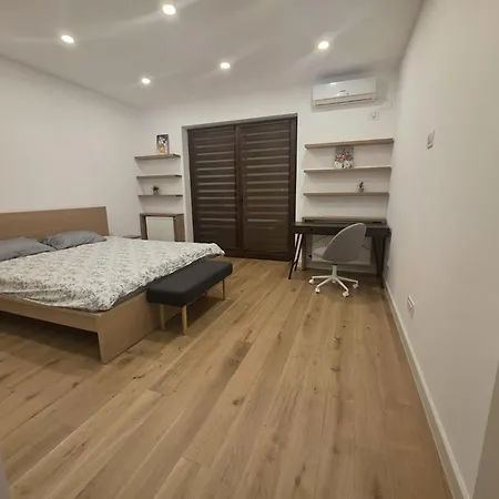 Semi-central Modern With Feroviarilor Park View Kluž