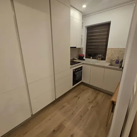Apartmán Semi-central Modern With Feroviarilor Park View Kluž